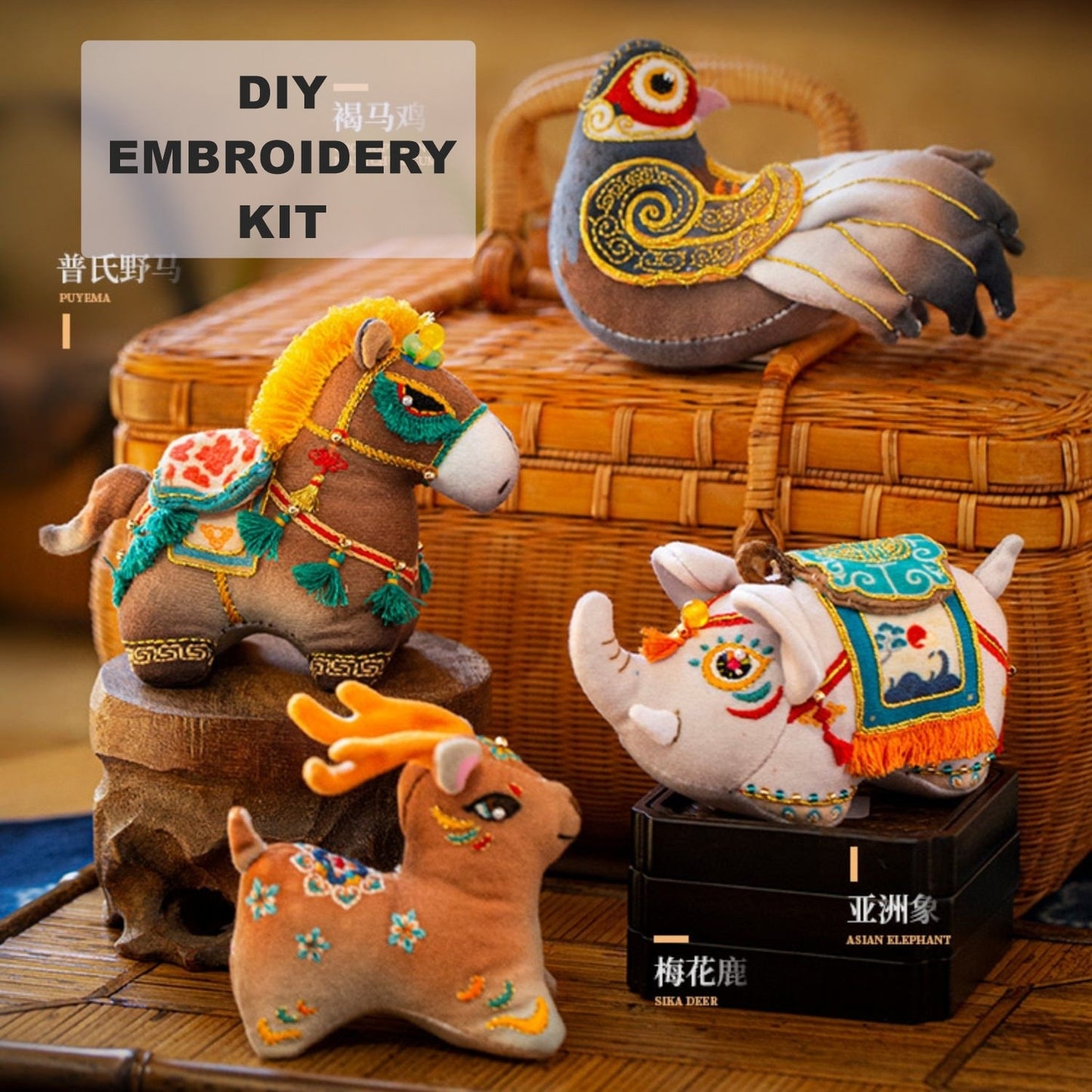 DIY Emrboidery Kit